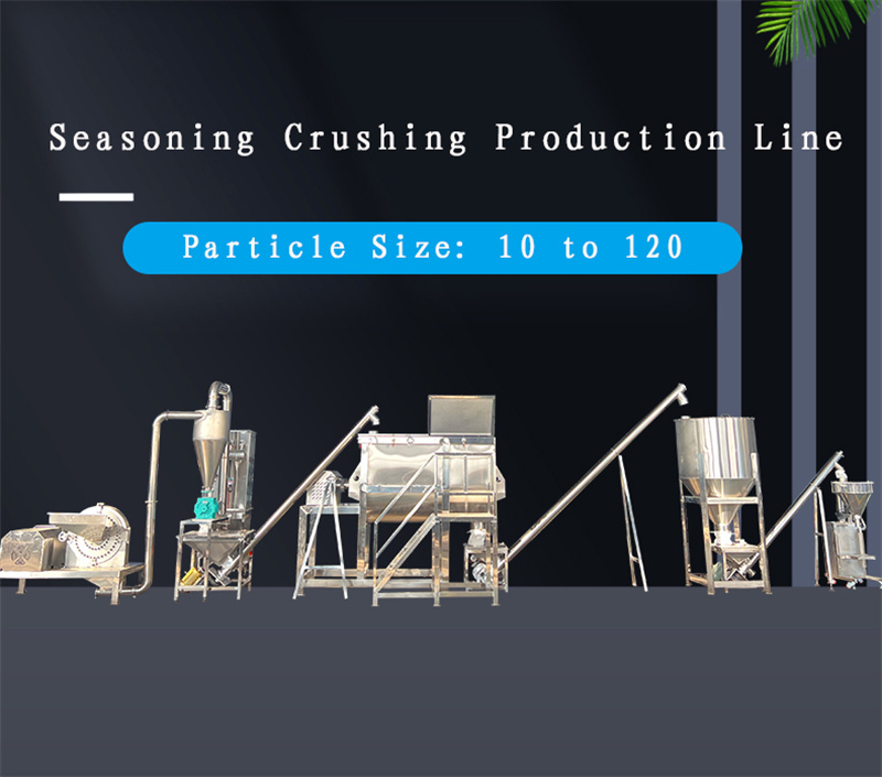 Seasoning Crushing Production Line